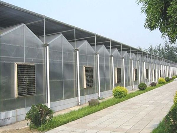 陽光板溫室